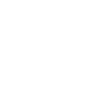 "PUNK IS NOT A SOUND" logo